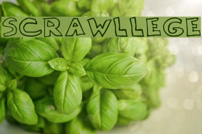 Scrawllege Caratteri examples
