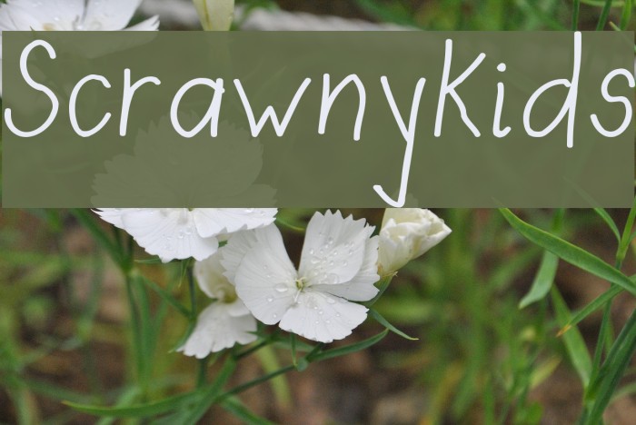 Scrawny Kids Font examples