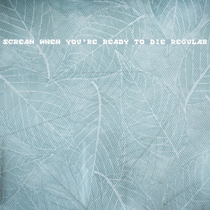 Scream When You're Ready To Die Regular Example 1