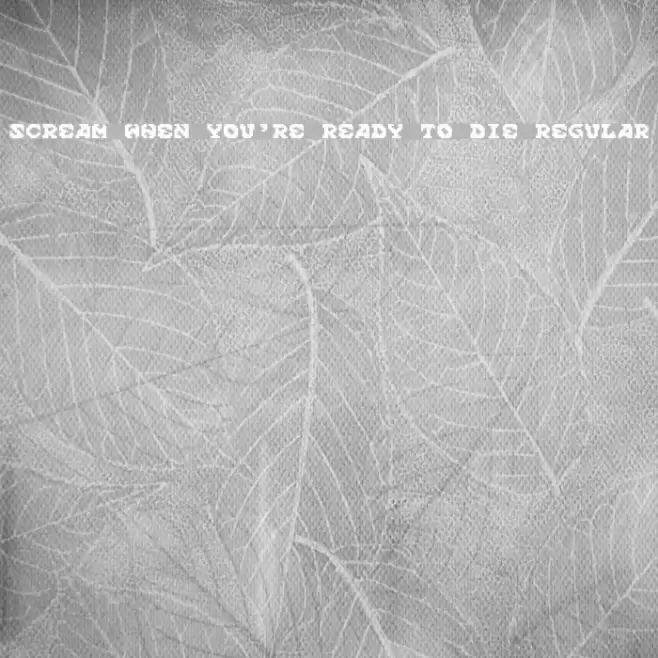 Scream When You're Ready To Die Regular Font examples