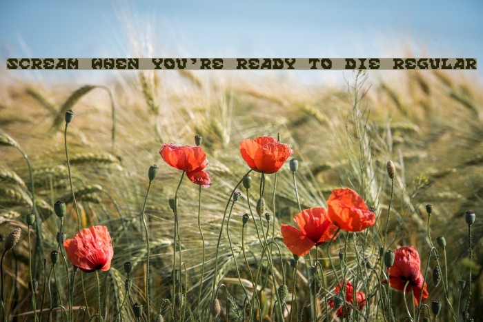 Scream When You're Ready To Die Regular Example 2