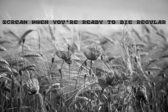 Scream When You're Ready To Die Regular Font examples