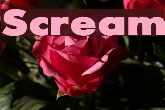 Scream Example 2