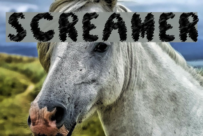 Screamer Font examples