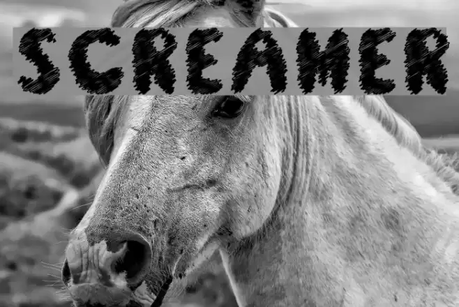Screamer Font examples
