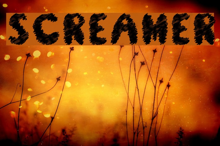 Screamer Font examples