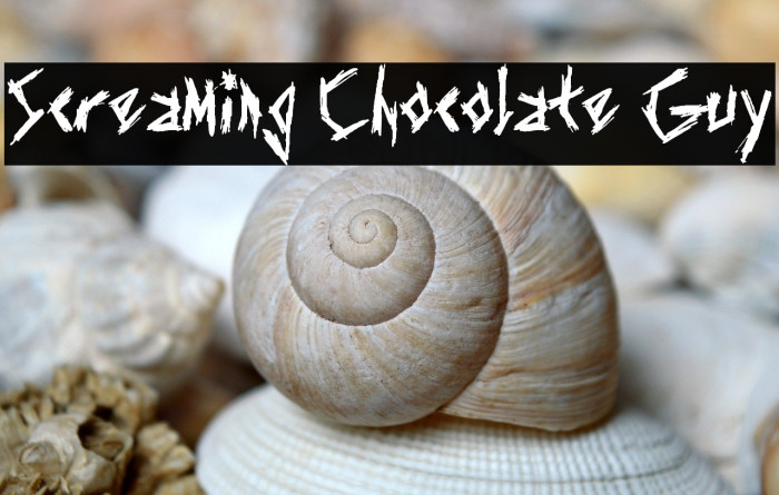 Screaming Chocolate Guy Example 1