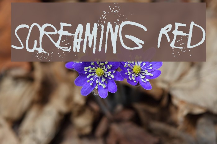 Screaming Red Example 2