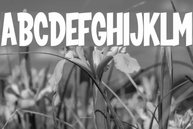 Screebie Font examples