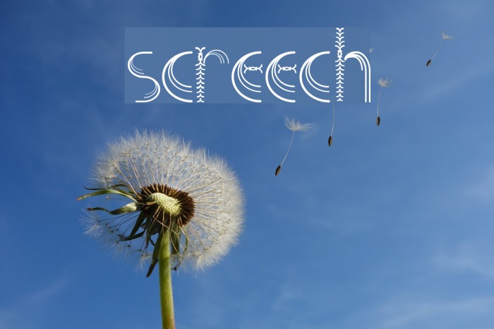 Screech Font examples