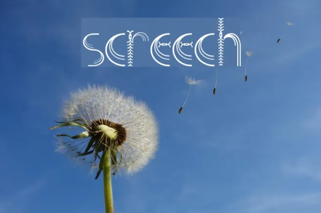 Screech Example 1