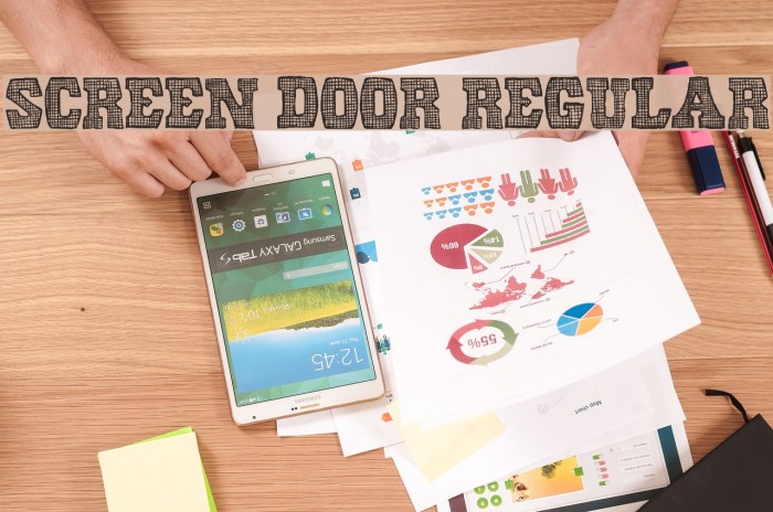 Screen Door Regular Font examples