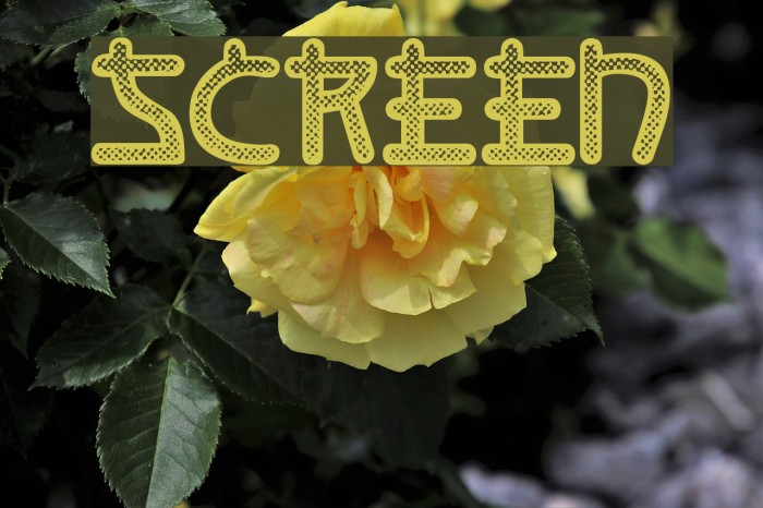 Screen Font examples