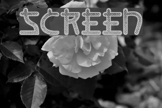 Screen Fuentes examples
