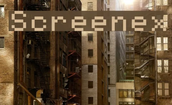 Screenex Example 3