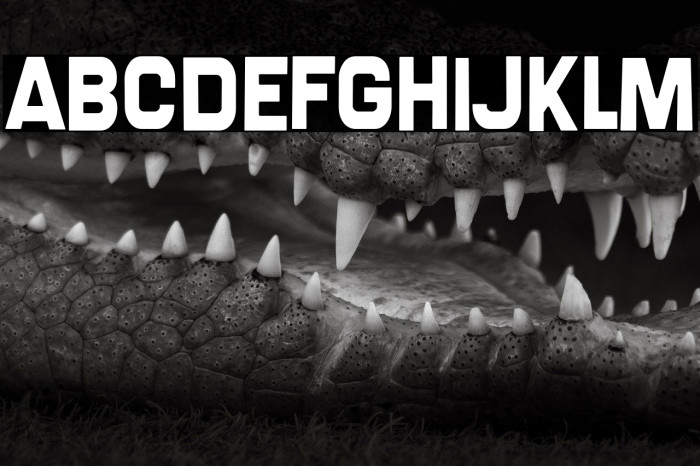 Screengem-Regular Example 1