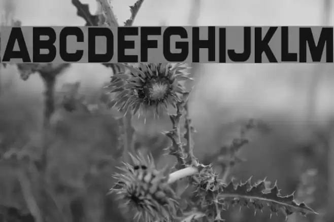 Screengem Font examples