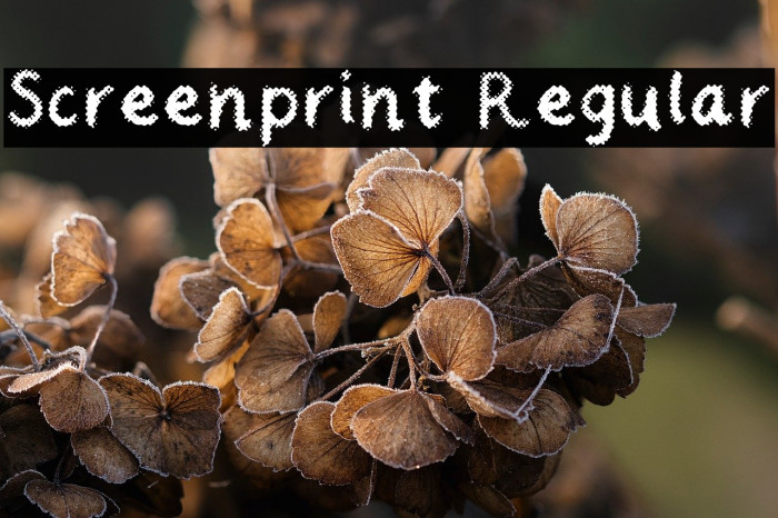 Screenprint Regular Example 1