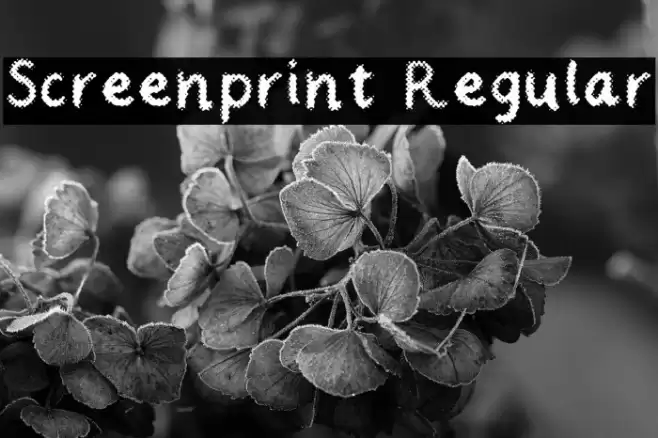 Screenprint Regular Font examples