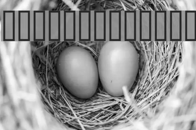 Screeplot Font examples