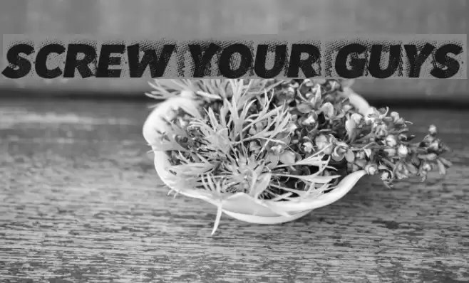 Screw your guys! Font examples