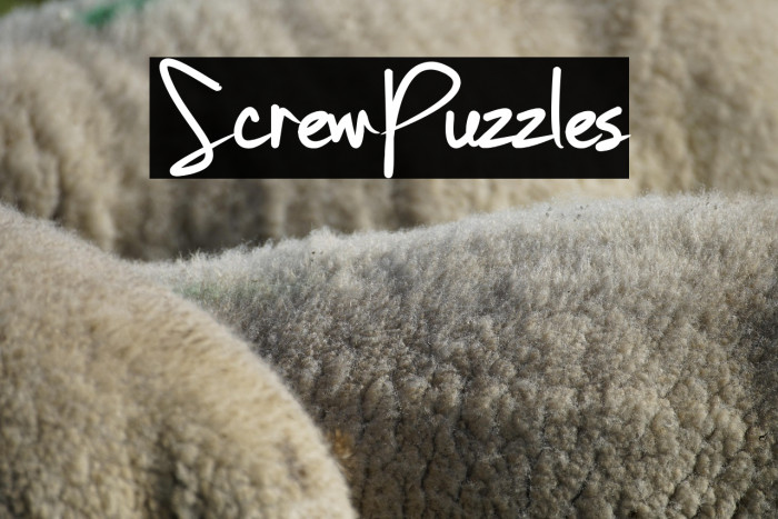 ScrewPuzzles Example 1