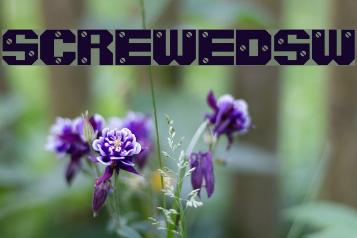 ScrewedSW Font examples