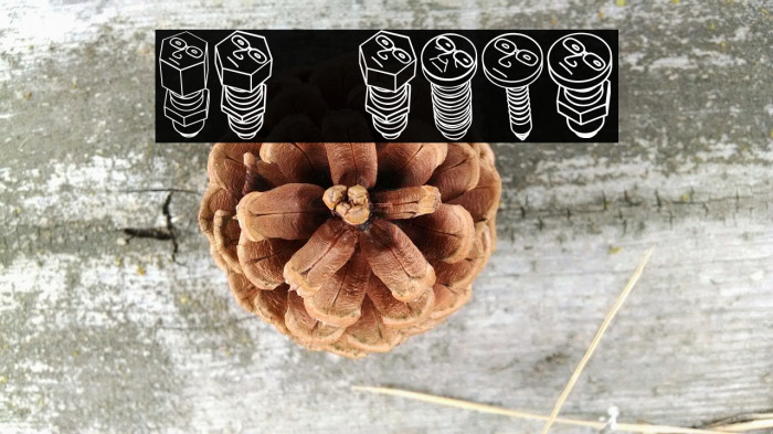 Screws Regular Font examples