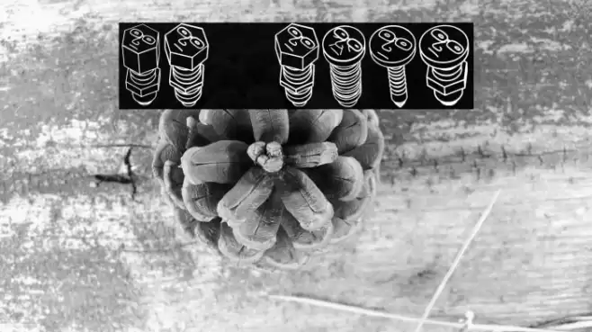 Screws Regular Font examples