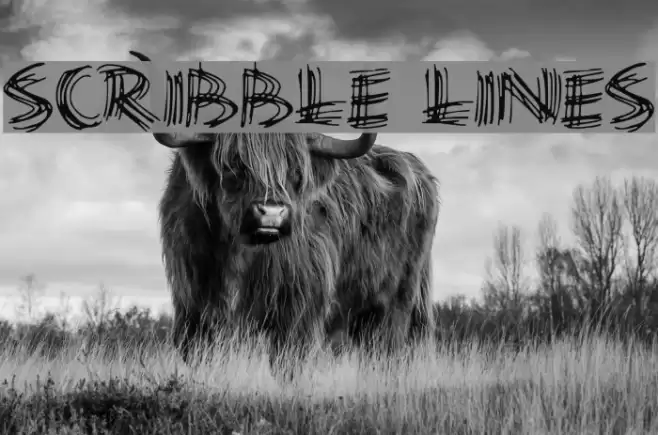 Scribble Lines Font examples