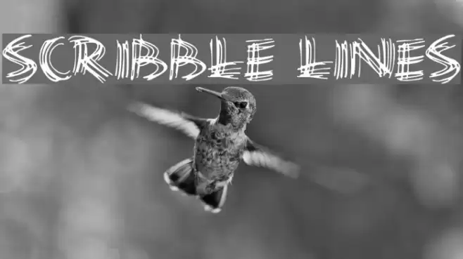 Scribble Lines Font examples