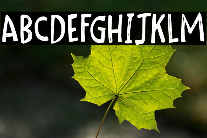 Scribble Note DEMO Regular Example 2