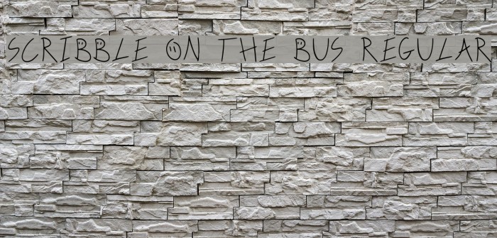 Scribble On The Bus Regular Font examples