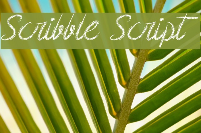 Scribble Script Font examples