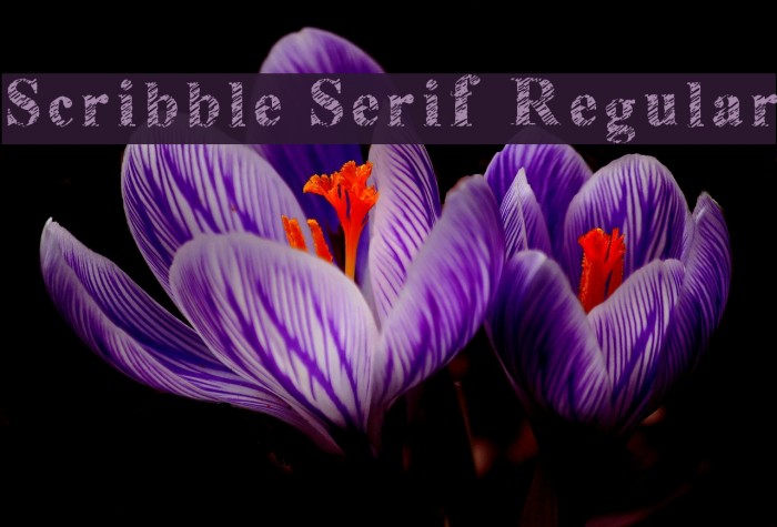 Scribble Serif Regular Font examples