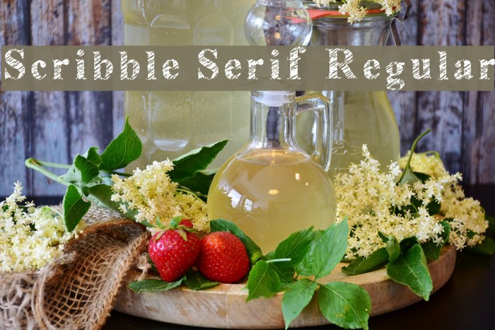 Scribble Serif Regular Font examples