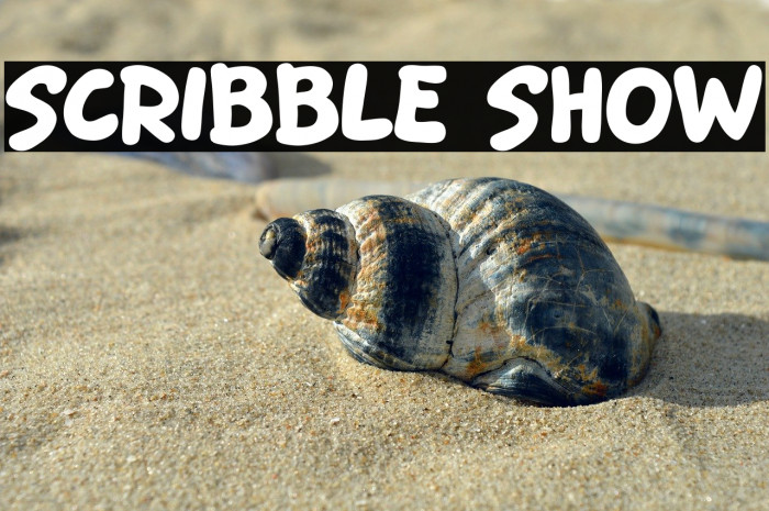 Scribble Show Example 2