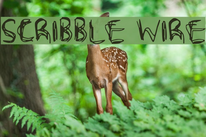 Scribble Wire Font examples
