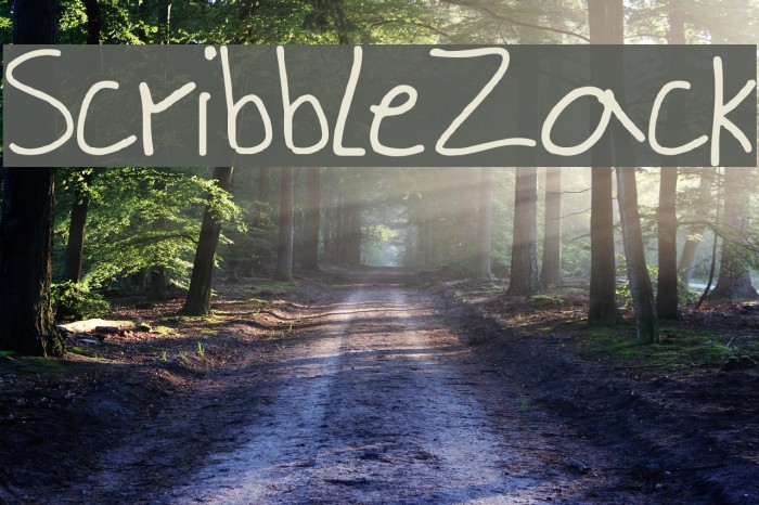 ScribbleZack Font examples
