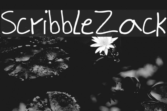ScribbleZack Font examples