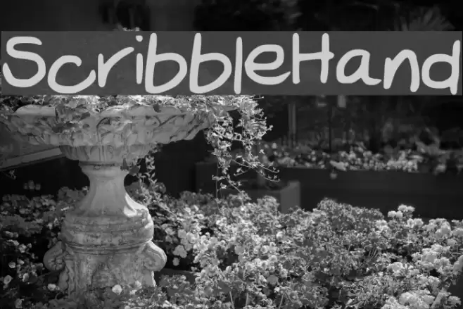 Scribble_Hand Font examples
