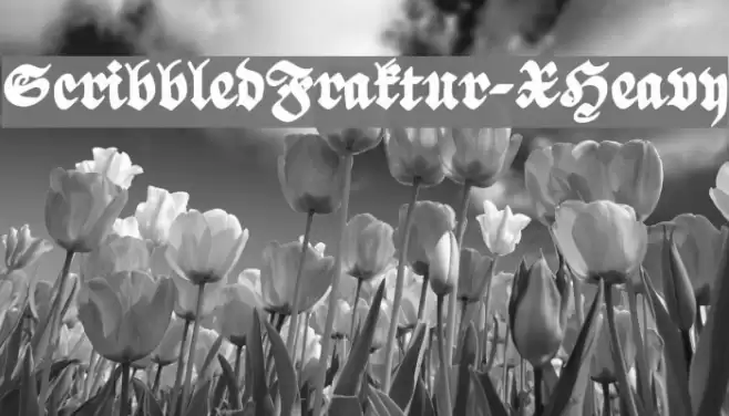 ScribbledFraktur-XHeavy Font examples