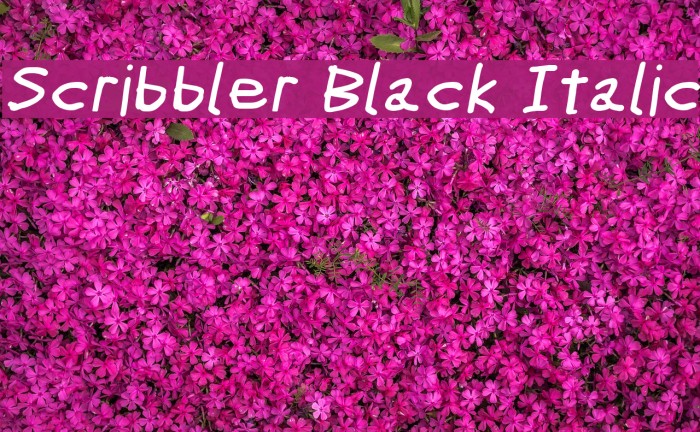 Scribbler Black Italic Example 3