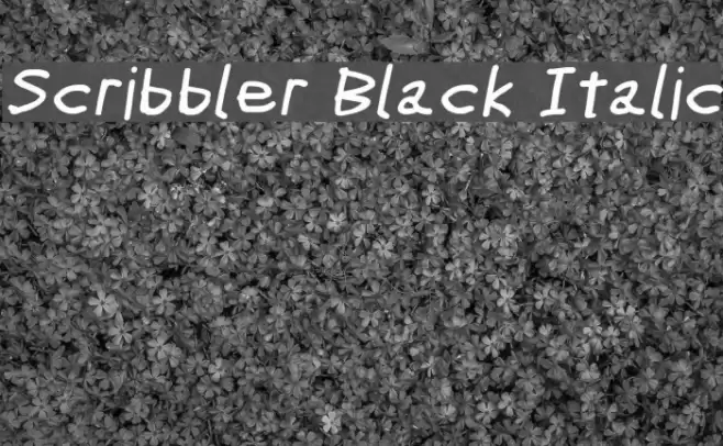 Scribbler Black Italic Font examples