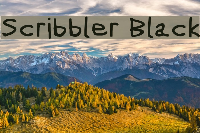 Scribbler Black Font examples