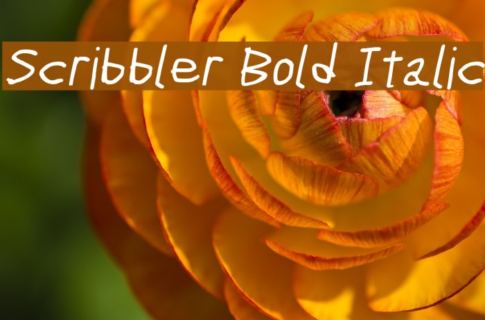 Scribbler Bold Italic Font examples