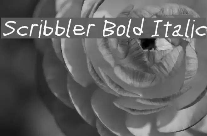 Scribbler Bold Italic examples