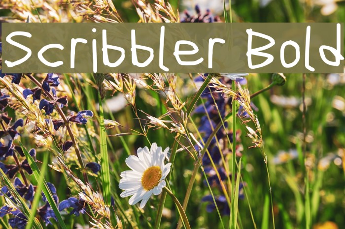 Scribbler Bold Font examples