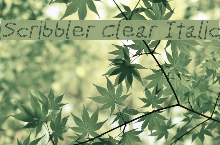 Scribbler Clear Italic Font examples