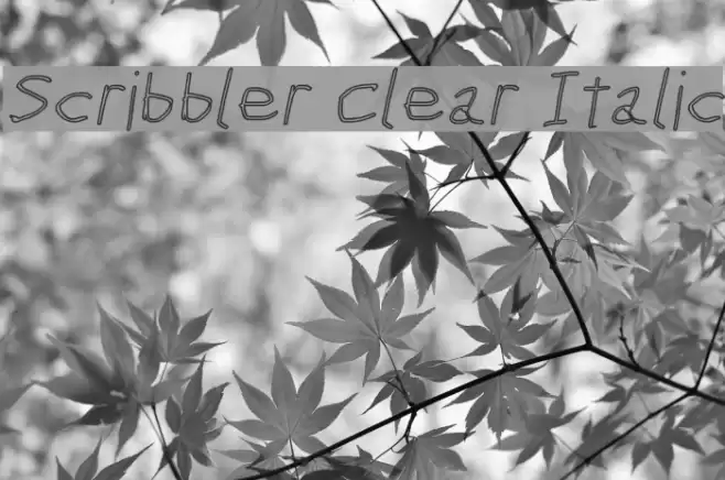 Scribbler Clear Italic examples